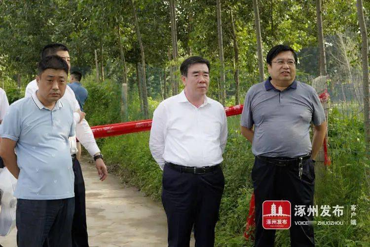 姚运涛深入一线检查指导涿州防汛工作