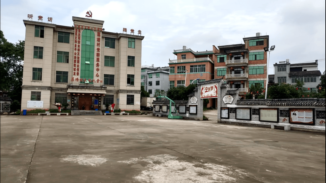 永康村和村的差距原来这么大._永康市