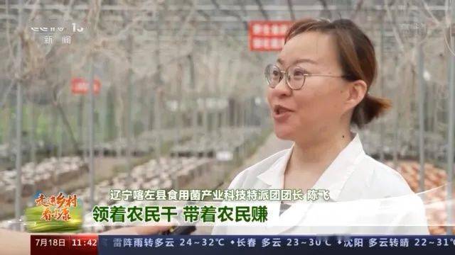 【央媒看朝阳】中央电视台新闻频道对喀左食用菌进行报道