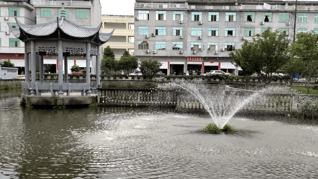 永康村和村的差距原来这么大._永康市