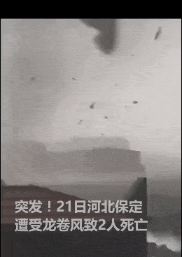 260_368 竖版 竖屏