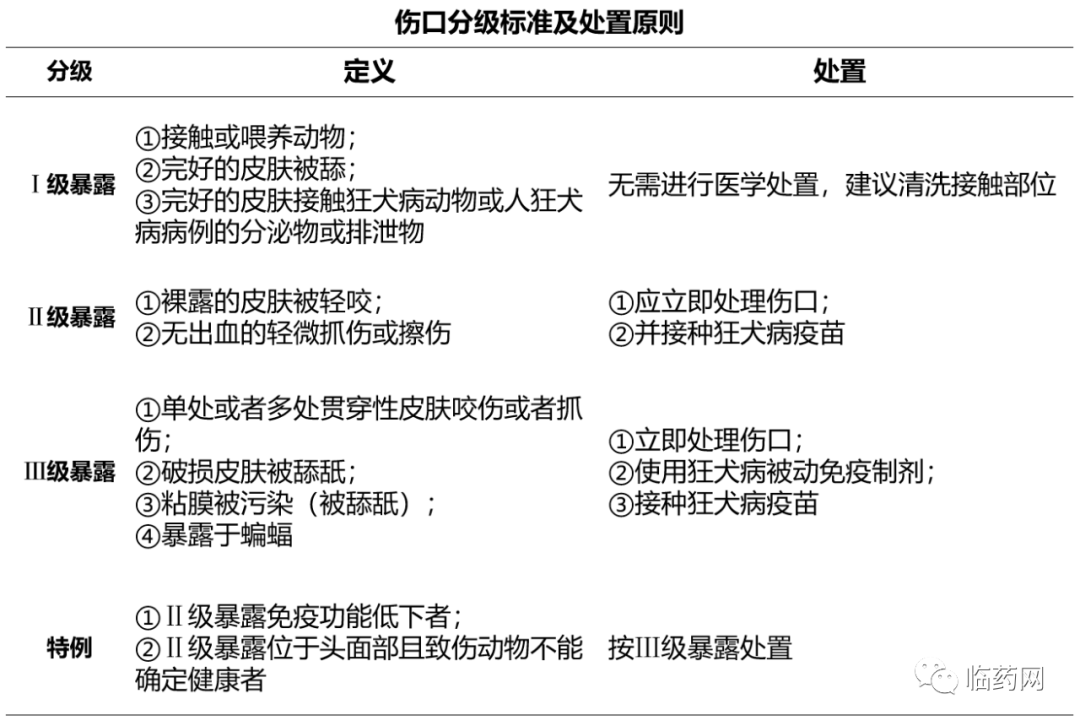 狗狗咬伤不要慌,狂犬疫苗接种小常识