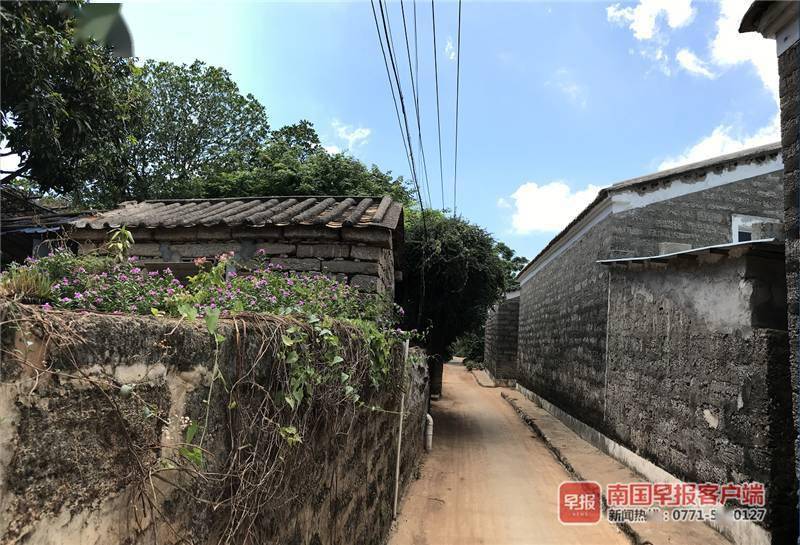 "走进乡村看小康"系列报道⑩丨涠洲岛盛塘村:网红打卡点带火村庄,村民