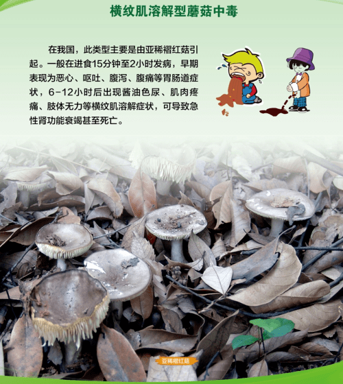 有虫吃过的蘑菇就无毒?