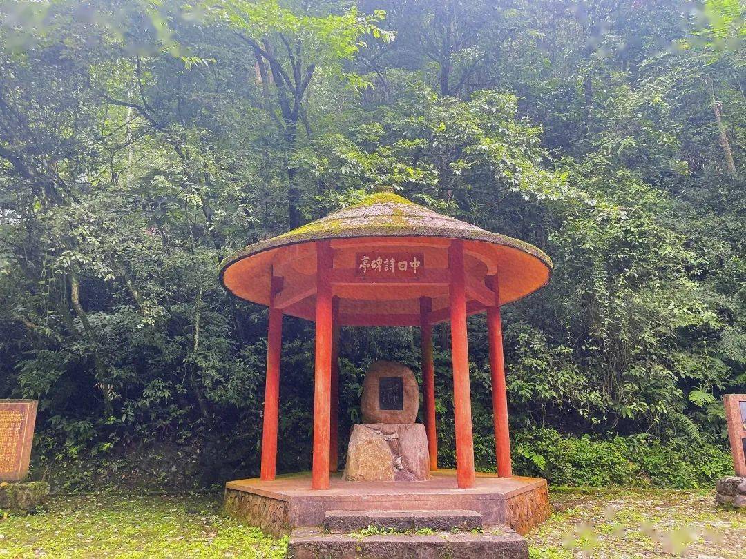 峨眉山的这条水路太安逸了现在去避暑耍水乘凉刚刚好