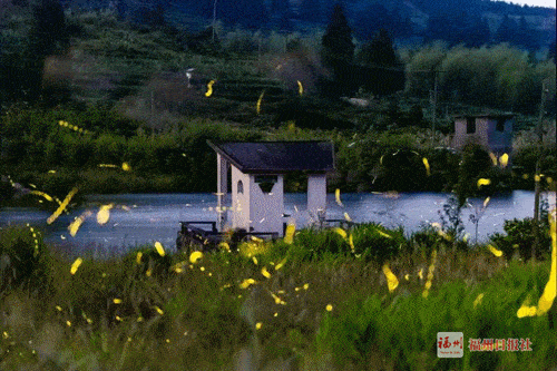 深入福州荒郊野岭,他拍到震撼美景!每一幅画面都能当壁纸! | 鱼说榕城