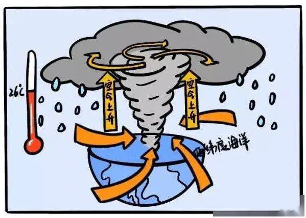 漫画科普|如何做好台风灾害防御?