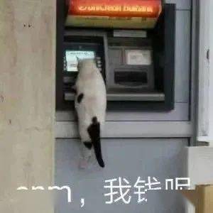 表情包