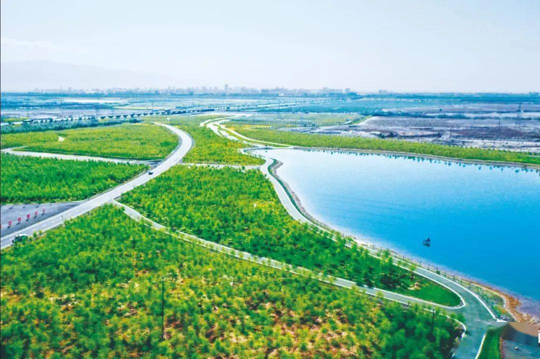 张掖:烂河滩惊艳蜕变 "绿色银行"筑牢生态屏障