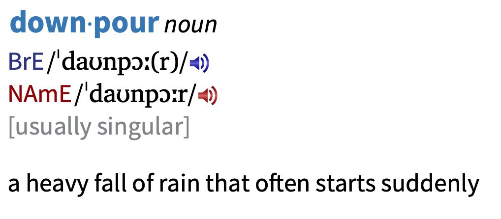 downpour(/ danpr/)是一个名词,表示"a heavy fall of rain that