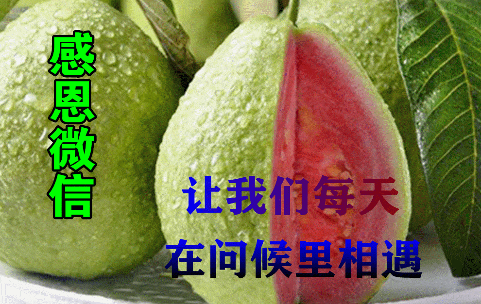 7月27日最漂亮早上好动态表情图片大全,早上好动图美图大全
