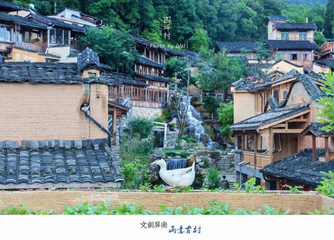 这组图真好看!文创屏南 · 画意古村