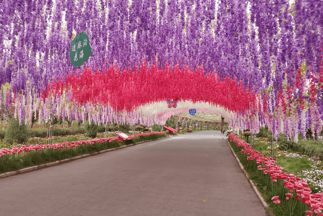 乡村旅游夏末秋临西宁周边这些乡村旅游景点你都去了吗