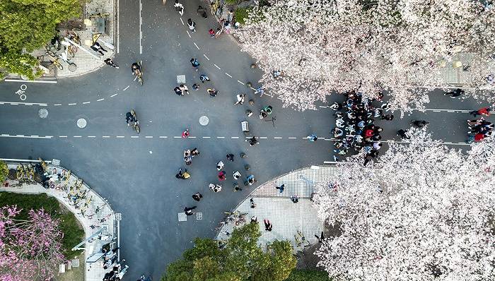 雷军|小米与华为的十字路口