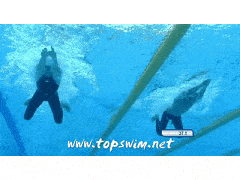 通过gif动图来掌握游泳动作