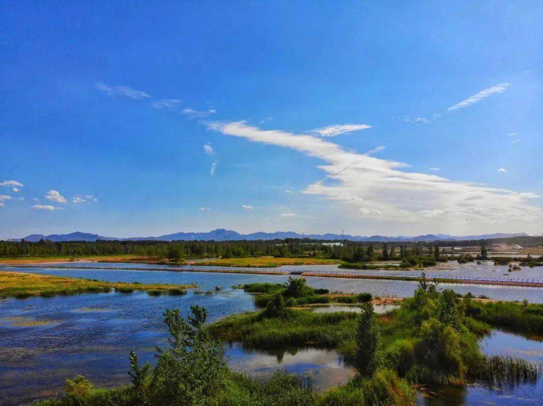 打造滹沱河生态经济带"醉美滹沱河"美景征集,一起分享欣赏啦