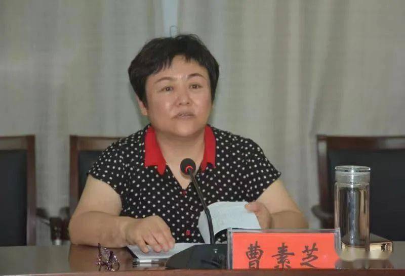 县领导曹素芝,刘文艺,胡志武,以及疫情防控督查组相关成员参加会议.