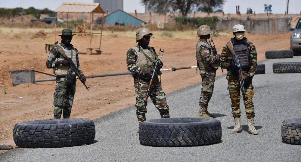 外媒尼日尔军队遭武装恐怖分子伏击15名军人死亡