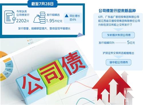 投资集团有限责任公司分别在深交所和上交所发行了乡村振兴专项公司债