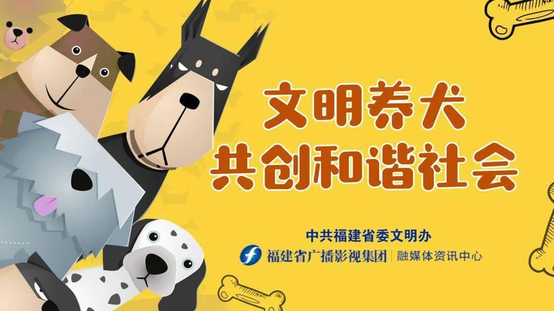 素材来源:中共福建省委文明办福建省广播影视集团丨融媒体资讯中心