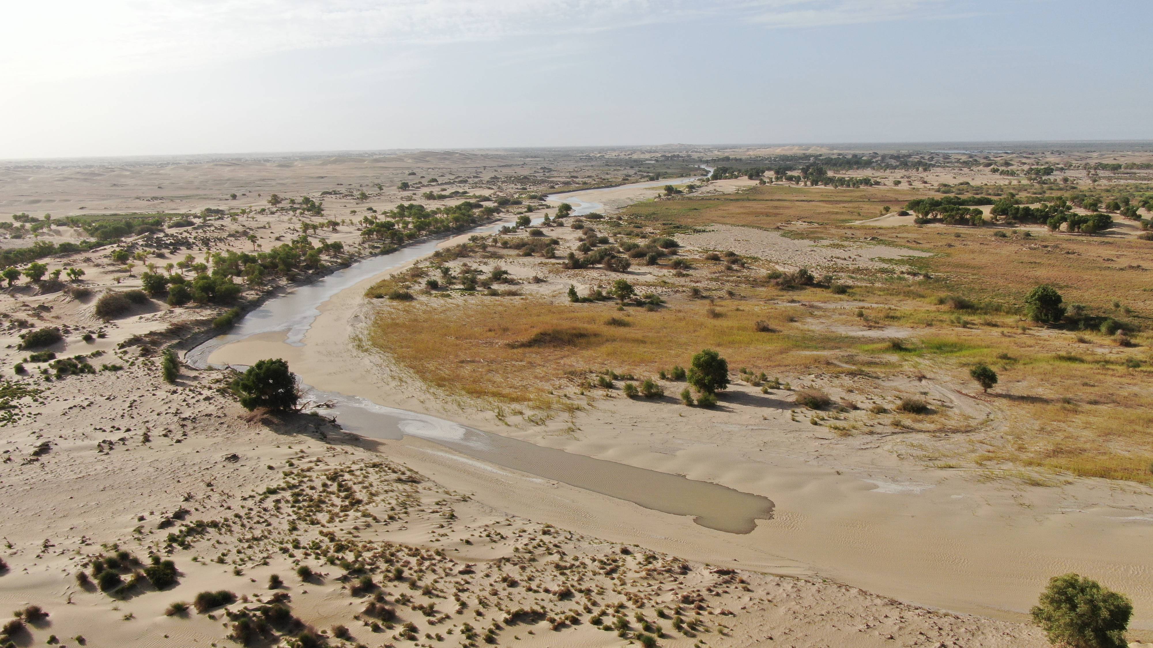 新疆借汛期向塔里木河下游生态输水