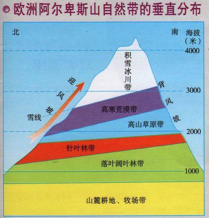 阿尔卑斯山自然带垂直分布