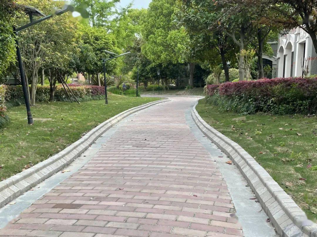 路沿石改造后