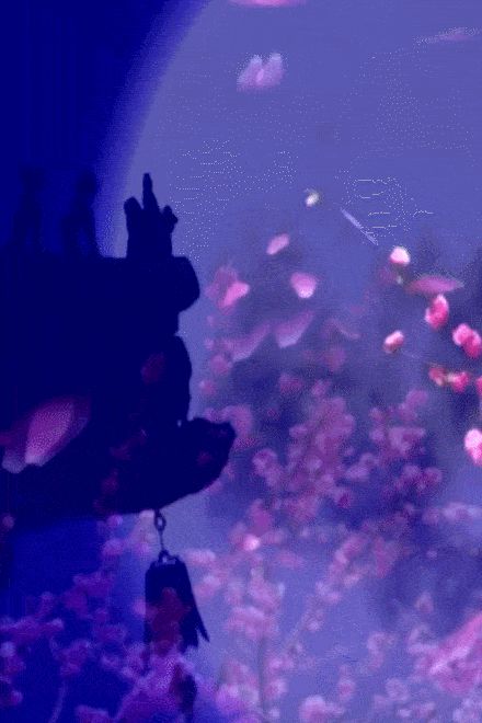 四句一换韵,以富有生活气息的清丽之笔,创造性地再现了江南春夜的景色