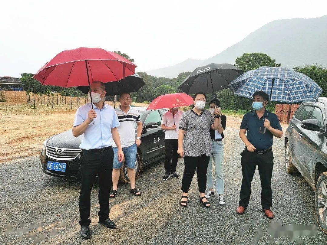 防抗台风