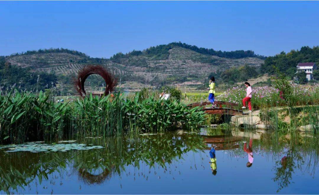 阳家墩(省级美丽乡村)