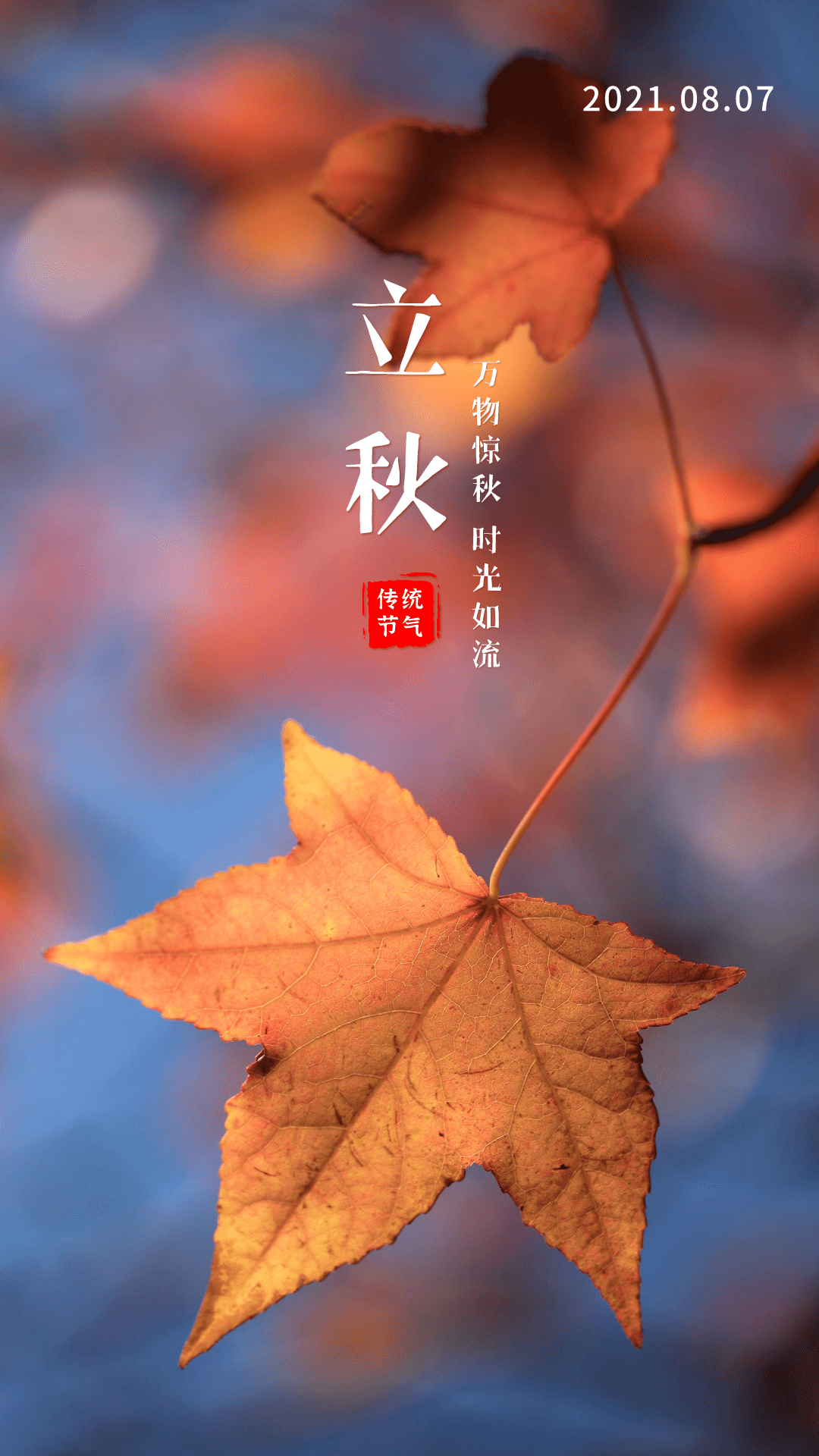 二十四节气·立秋 | 今天,秋来