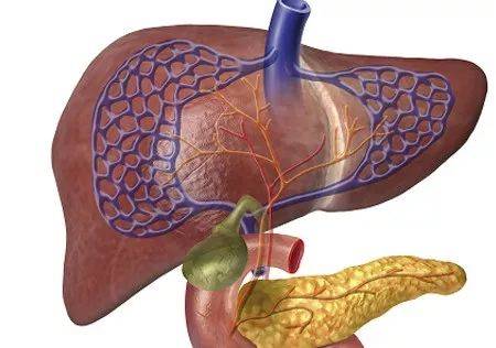 进行|乙肝病毒潜伏期有多久？抓住这段时间，把慢性乙肝挡在门外