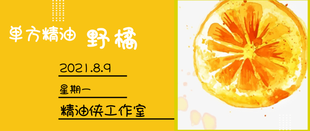 【单方】8月9日:野橘