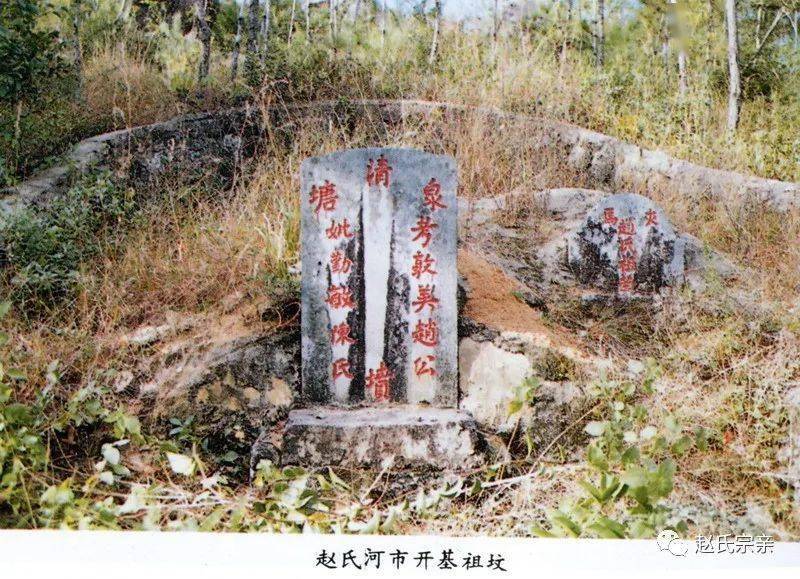 厉害了看看赵氏在海外的传播与发展