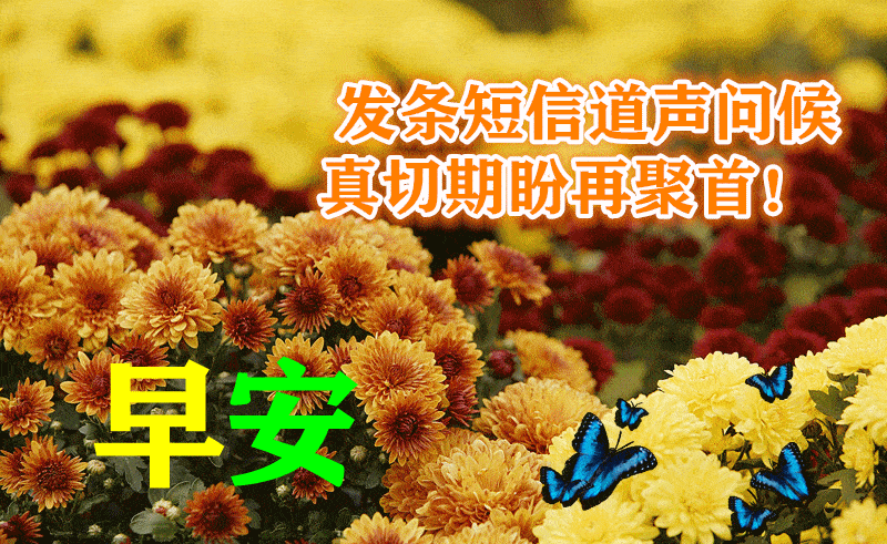 8月12日最漂亮早上好动态表情图片大全,早晨好动图美图大全