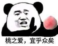 熊猫头表情包 i 请别对号入座!