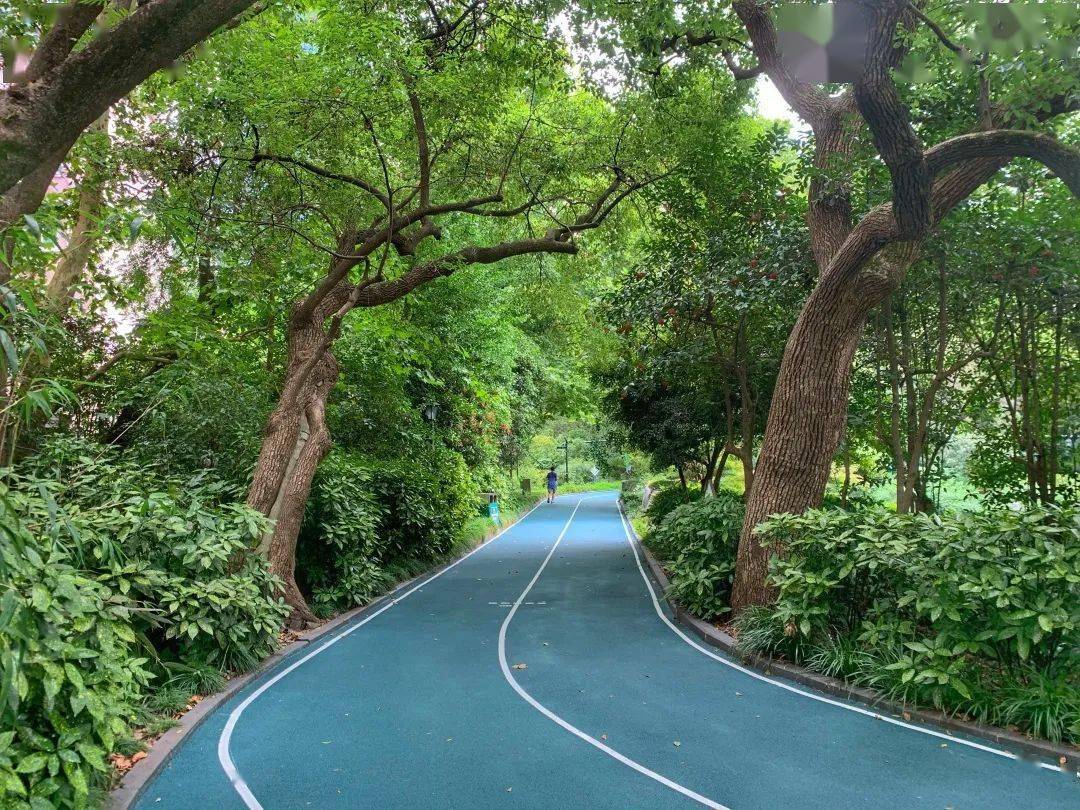 中山公园健身步道更新有空去走走吧