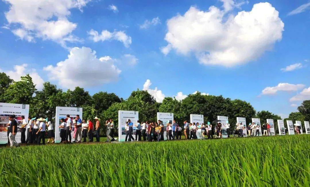 园区,农业生产条件好的旅游景区周边,选择近年来美丽乡村建设有基础