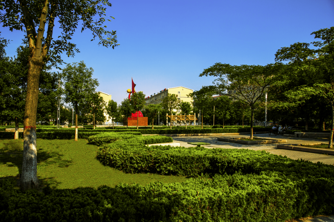 下足"绣花功夫,扮靓城市,庆云"街角公园"让你转角见景_绿化