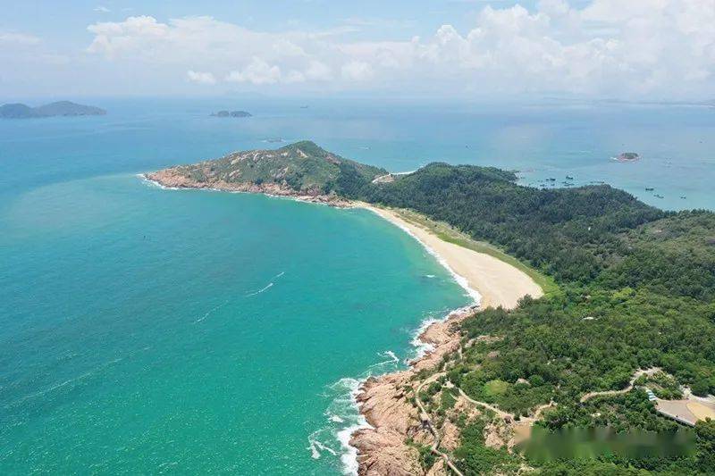 6万多只海龟在惠东"海龟湾"标壮后回归大海_自然保护区