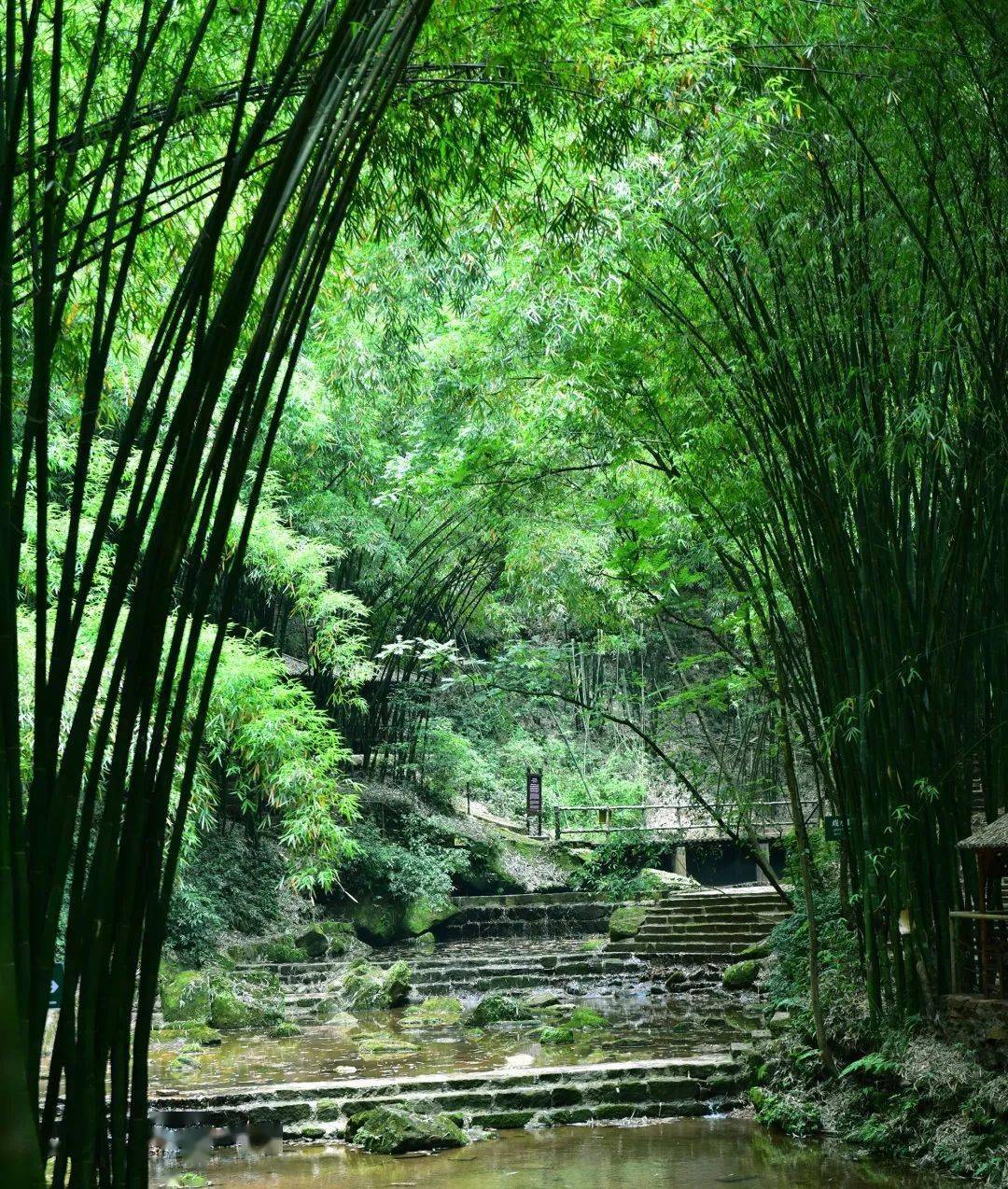 川西竹海清凉一夏登山纳凉