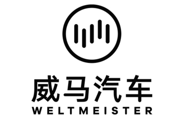 资料显示,杜立刚为威马汽车联合创始人兼cfo,并持有威马智慧出行科技