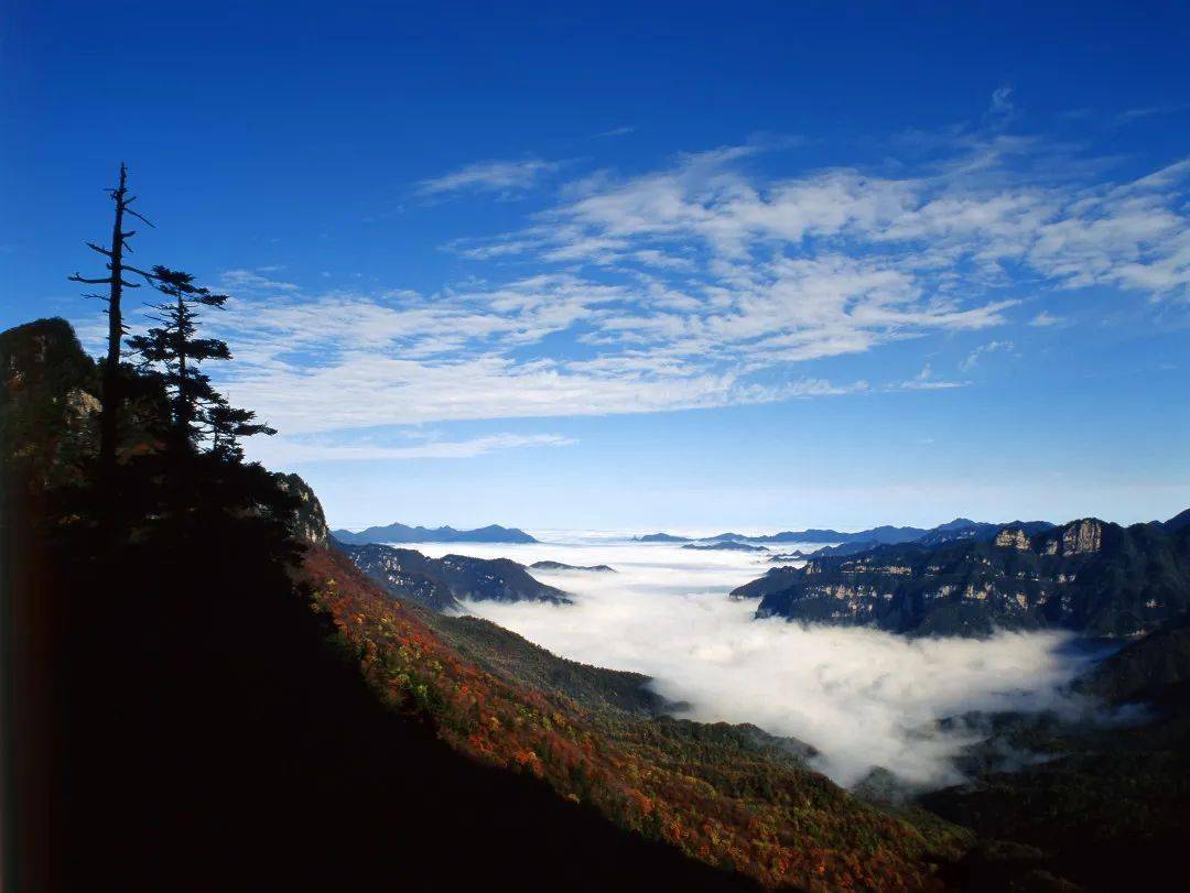 天燕秋色,红坪画廊,大九湖,香溪源,神农顶,神农坛