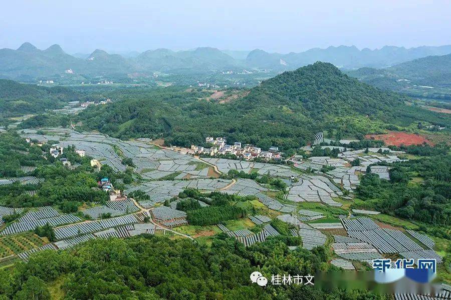 "走进乡村看小康"直播特别节目》报道了桂林市全州县才湾镇毛竹山村