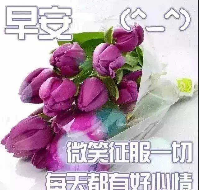 早上好最新表情包,非常时期,祝你身体健康,快快乐乐!