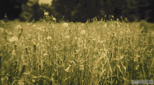 500_276