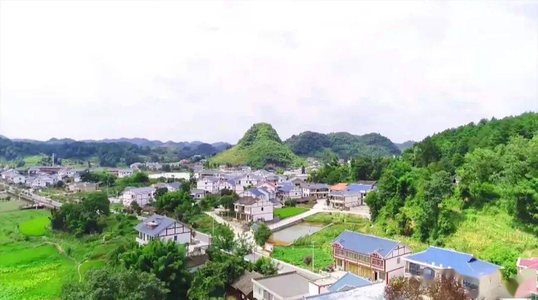 弘扬伟大建党精神 走好新时代的长征路 花茂村:昔日"荒茅田 今日"