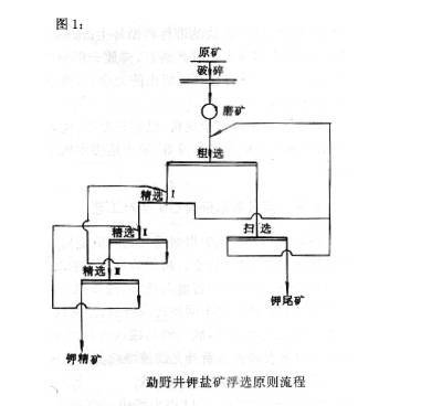 天宙集团·天道研究院 || 钾盐的选矿与加工