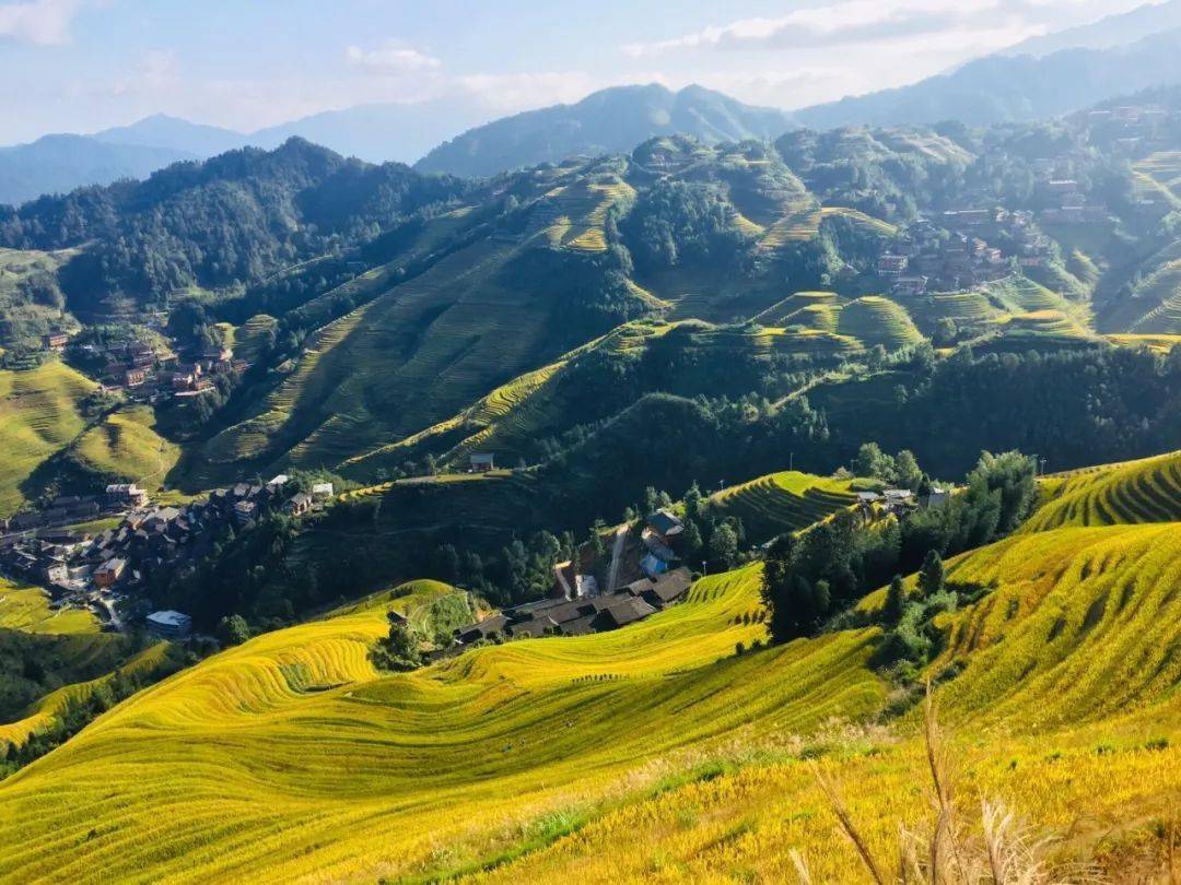 除了好莱坞拍摄地,我们还精选了龙脊梯田核心景区【金坑梯田,这是