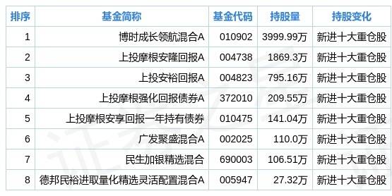 中国广核二季度持仓分析:基金合计持有1.99亿股,环比上季度减少63.8%